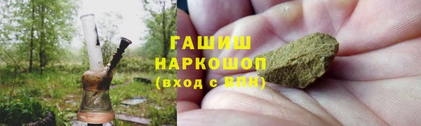 сатива Кодинск